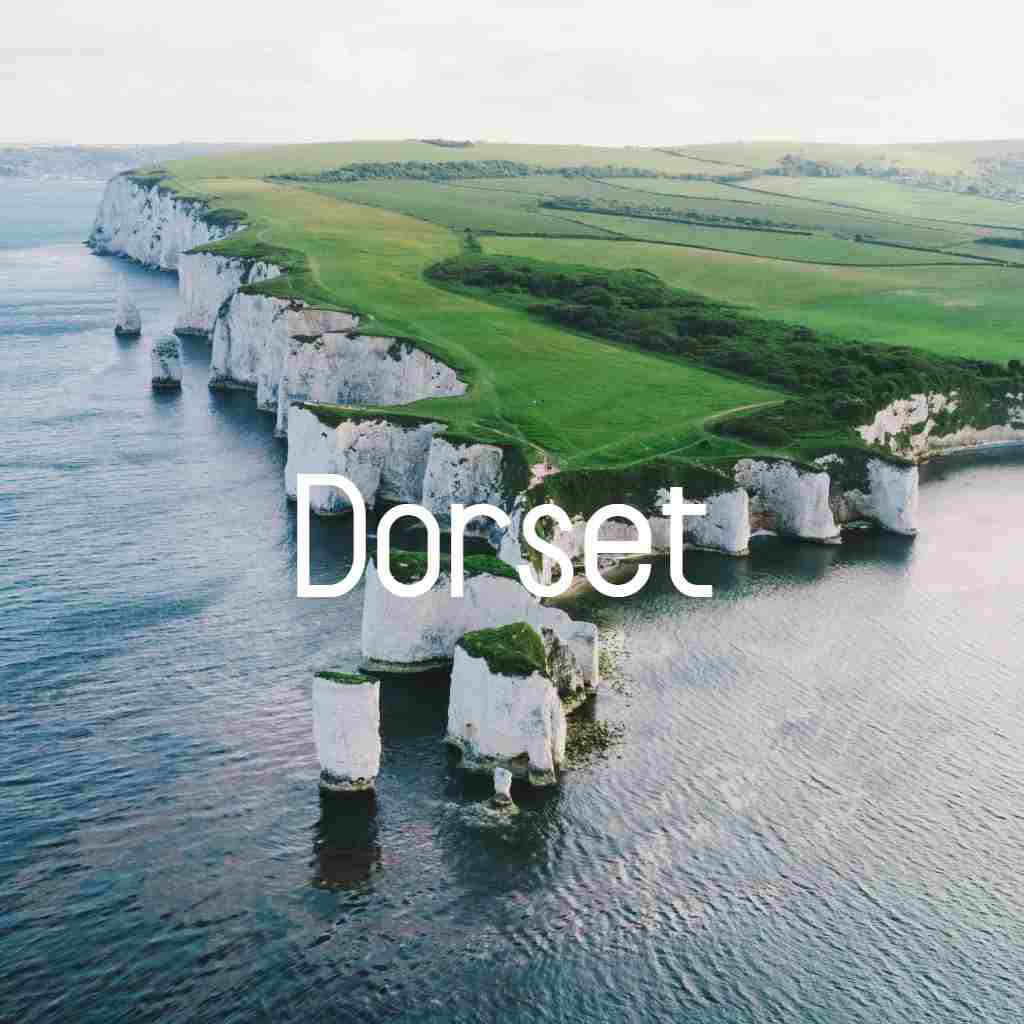 host families dorset